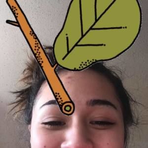 Meet your Posher, Siranee